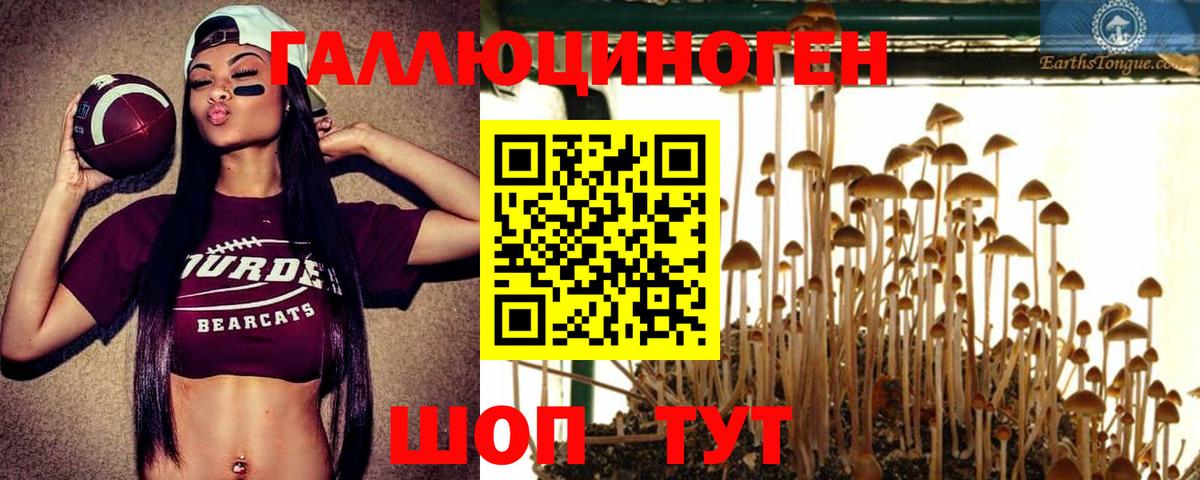 Галлюциногенные грибы MAGIC MUSHROOMS  Вход с VPN  Ноябрьск  купить закладку  Галлюциногенные грибы MAGIC MUSHROOMS 